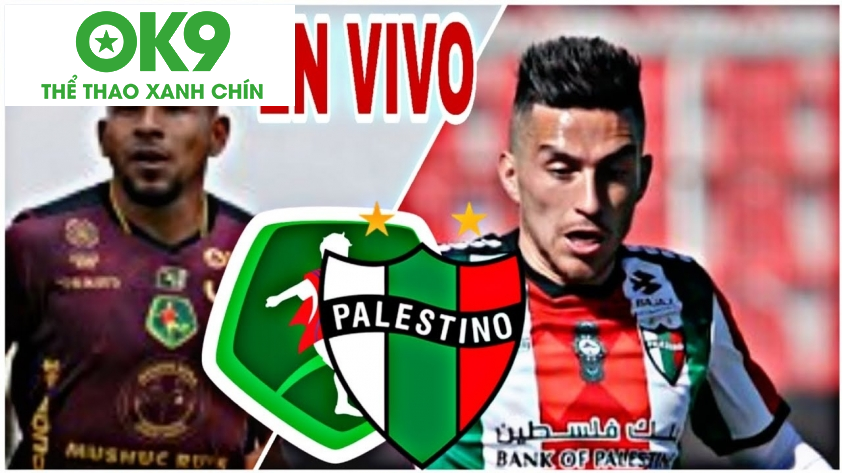 Đội hình Palestino Đội hình Palestino